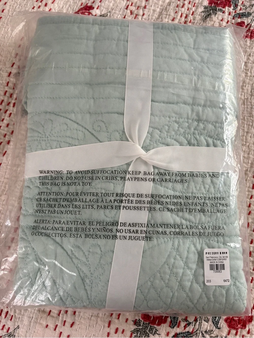 Pottery Barn Hanna Sham NWT